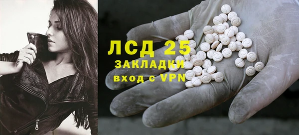 ГАЛЛЮЦИНОГЕННЫЕ ГРИБЫ Наволоки