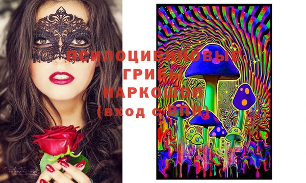 ГАЛЛЮЦИНОГЕННЫЕ ГРИБЫ Наволоки